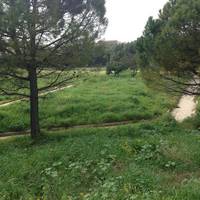 Parco Archeologico delle Mura Greche