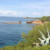 Life Mallorca Experience