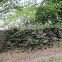 Shiroyama Ryokuchi Park (Remains of Kurosaki Castle)