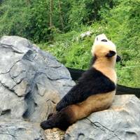 Yunnan Wildlife Park