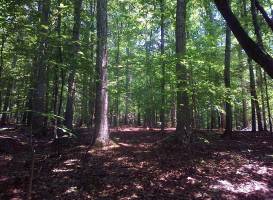 Lake Crabtree County Park