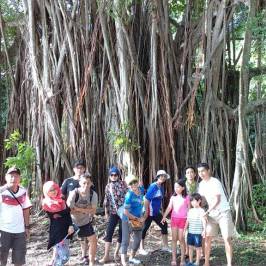 Condong Island