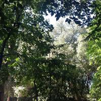 Parco Aymerich