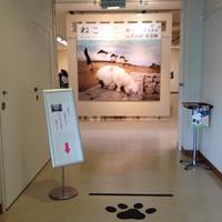 Sasebo City Museum