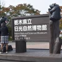 Tochigi Prefectural Nikko Natural Science Museum
