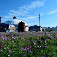 Ordos Prairie