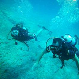 Interdive