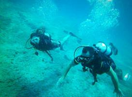 Interdive