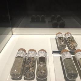 Muséum d'Histoire Naturelle