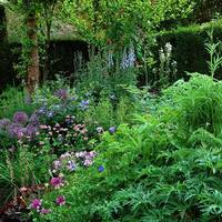 Stone House Cottage Gardens