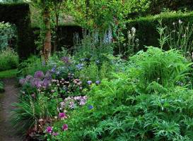 Stone House Cottage Gardens