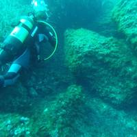 Dive'n Mallorca