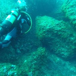Dive'n Mallorca