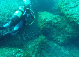 Dive'n Mallorca