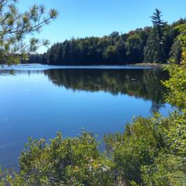 Limberlost Trails