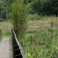 Warnham Local Nature Reserve