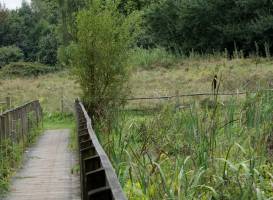 Warnham Local Nature Reserve