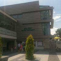Aquapark Kalisz