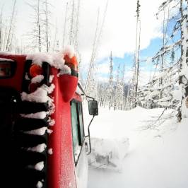 Backcountry Snowcats Ltd