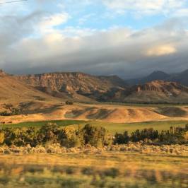 Shoshone National Forest