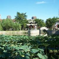 Tianjin Changhong Park