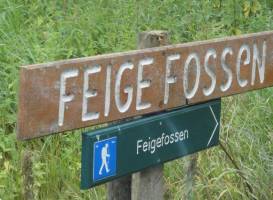Feigefossen
