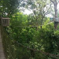 Bangkirai Hill Nature Tourism