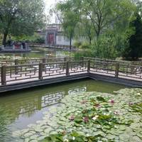 Ruyi Yuan