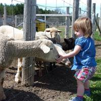 Promise Land Family Fun Farm