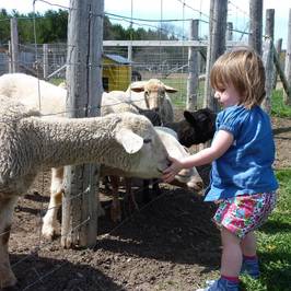 Promise Land Family Fun Farm