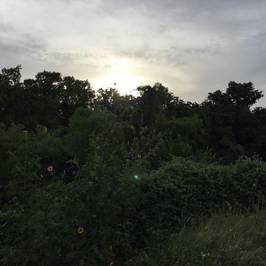 Riverside Park