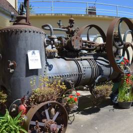 Musée de Mécanique Naturelle