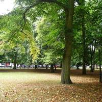 Hoglands Park