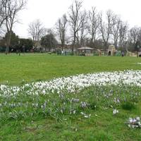 Houndwell Park