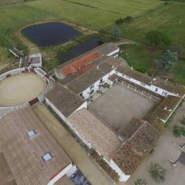 Mas du Grand Bordes