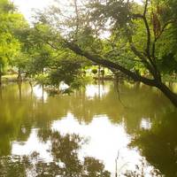 Bakeli Memorial Park