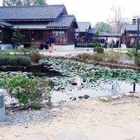 Hinoki Village