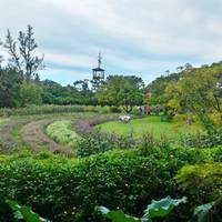 Cing Lin Farm
