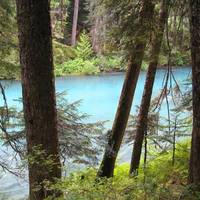 Cheakamus Lake Trail