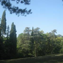 Parco Tozzoni
