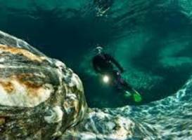 Dedalus Divers