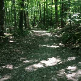 Kennedy Park