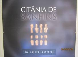 Citania de Sanfins