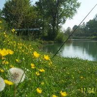 Parco Palustre