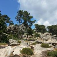 Pisca di Ghjaddu