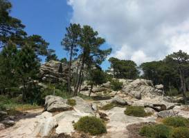Pisca di Ghjaddu