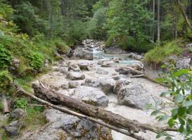 Zauberwald am Hintersee