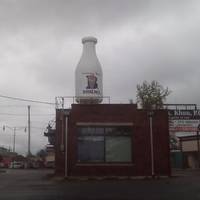 Milk Bottle Grocery