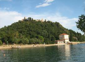 Fulfinum Mirine