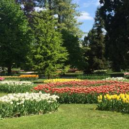 Parc de l'Indépendance